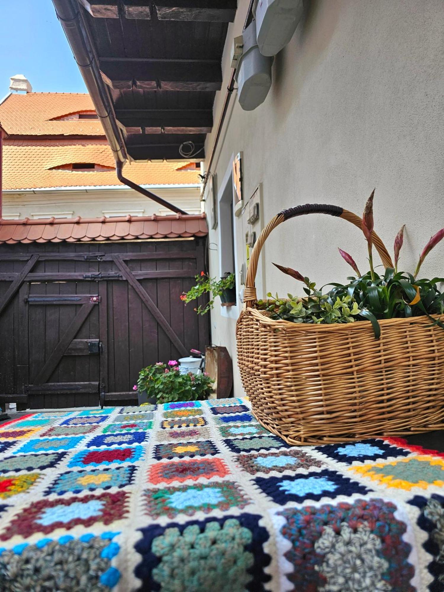 Central Cozy House Sibiu 아파트 외부 사진