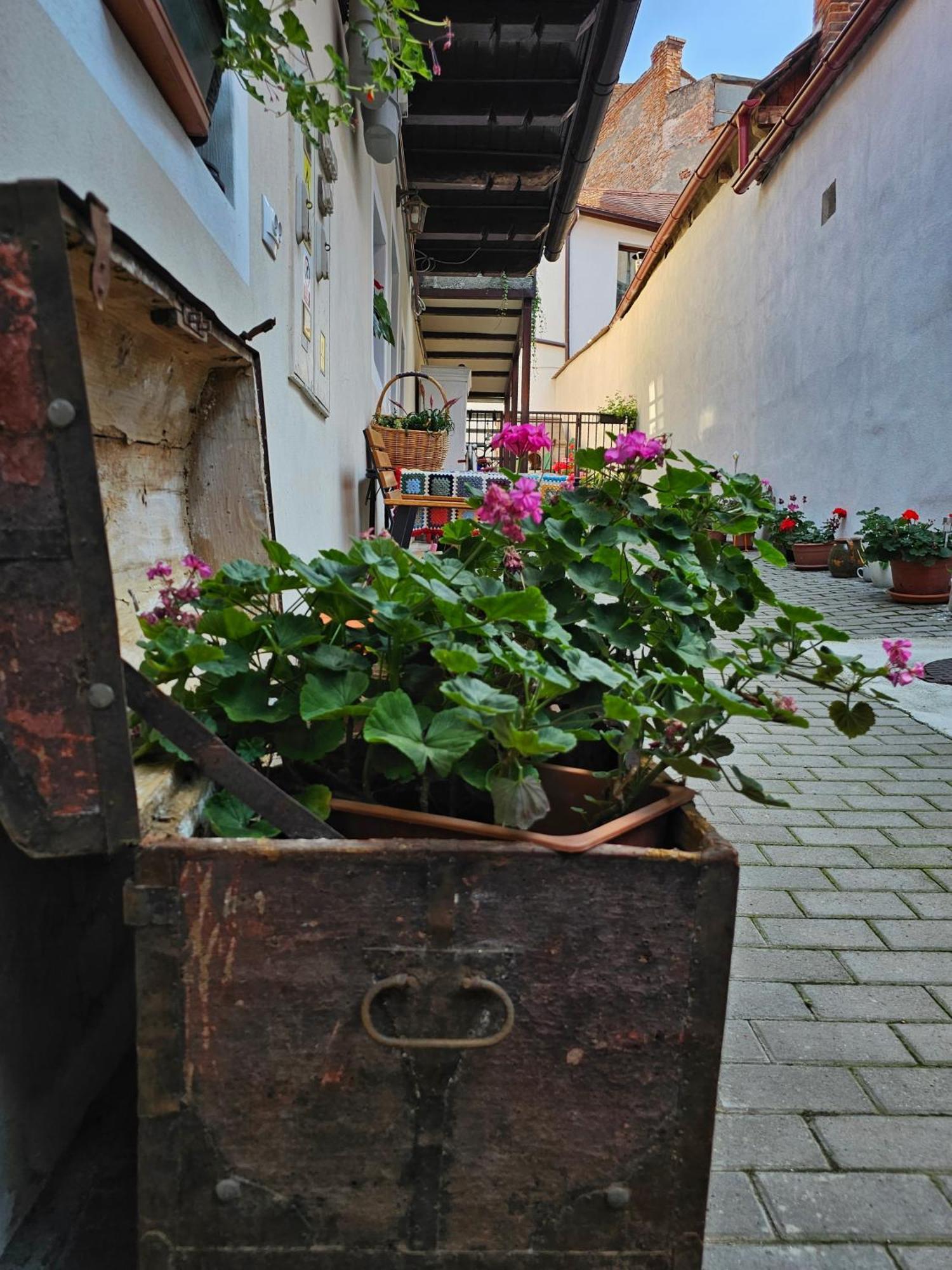 Central Cozy House Sibiu 아파트 외부 사진