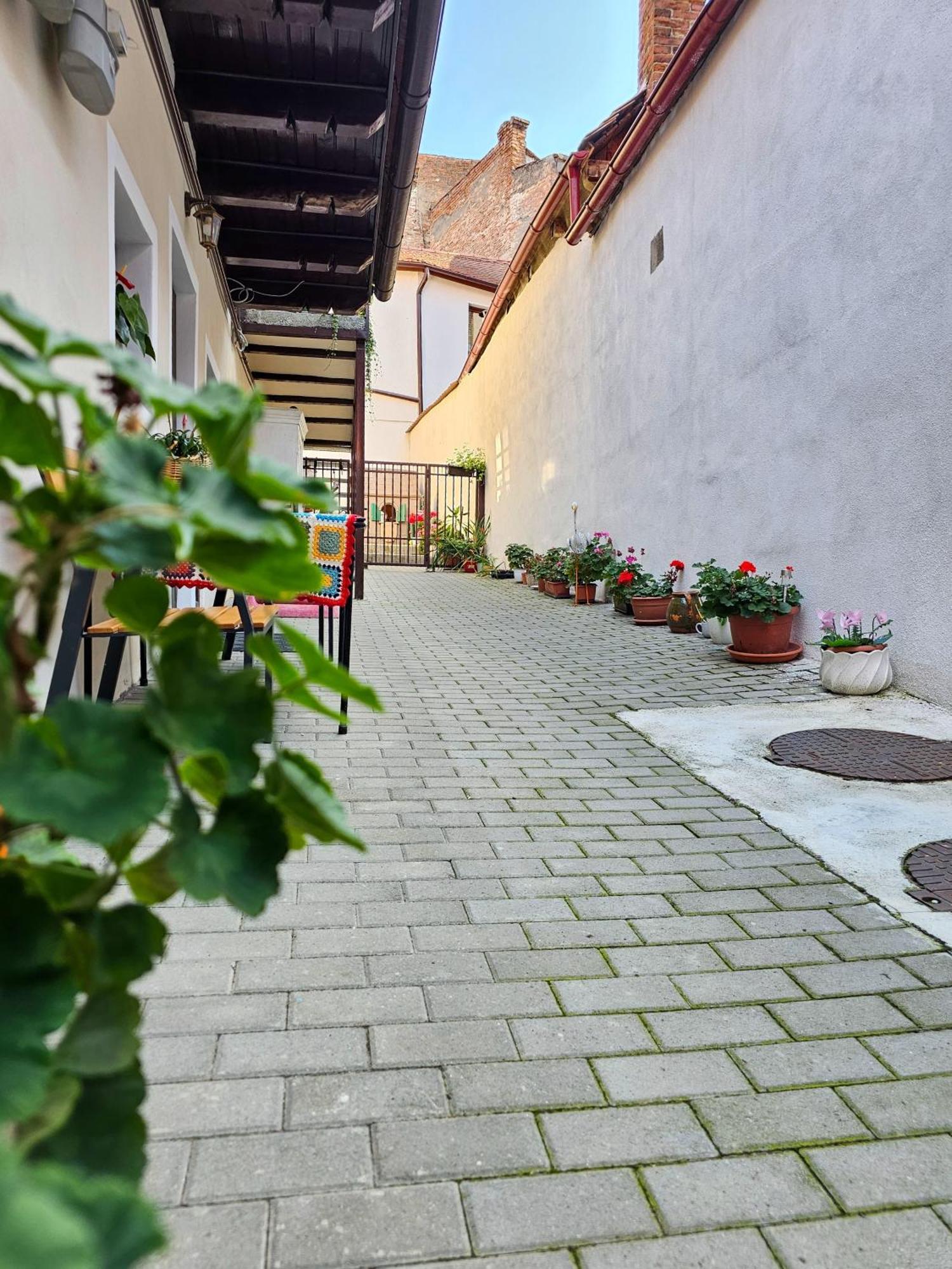 Central Cozy House Sibiu 아파트 외부 사진